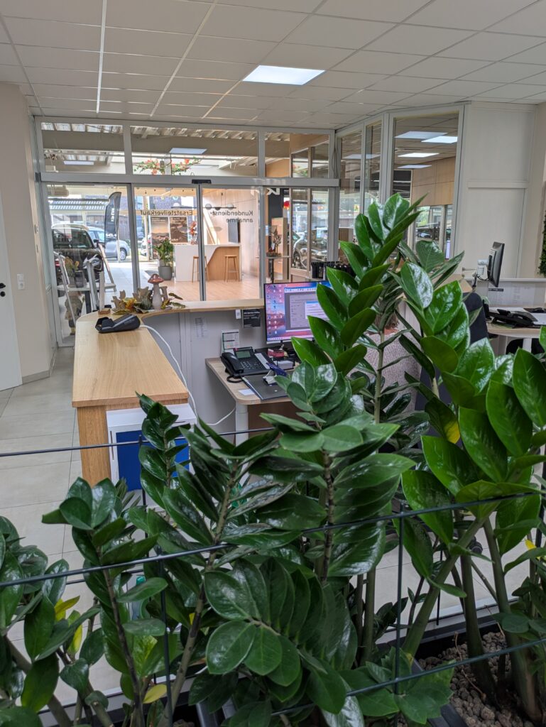 der Eingangsbereich aus sicht eines Mitarbeiter hinter dem Infotresen